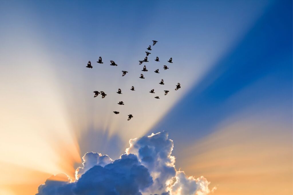 Sunshine beams come out from behind a cloud in the blue sky, with birds flying overhead.